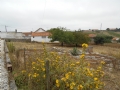 Several older houses & barns on 2.500 m2